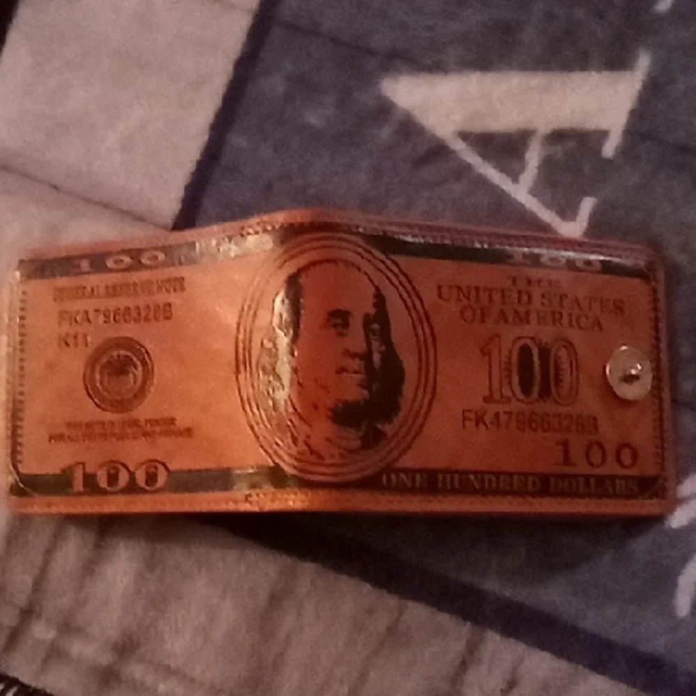 Unique Dollar Print Men's Money Clip